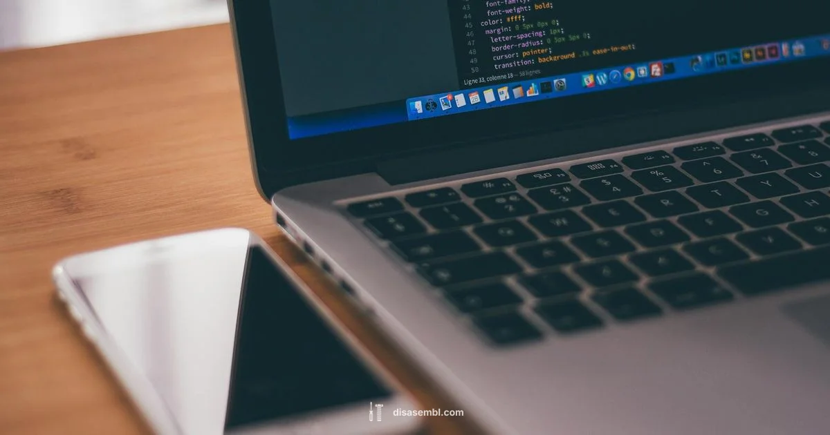 Hero Code Check - Disasembl