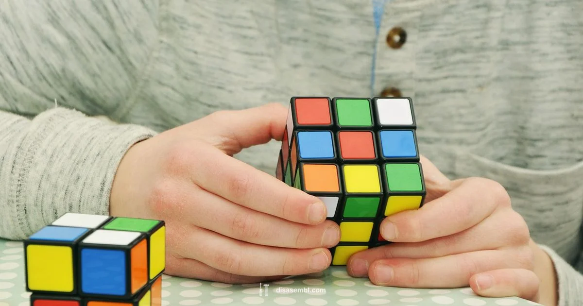 Fix Wrongly Assembled Rubik's Cube - Disasembl