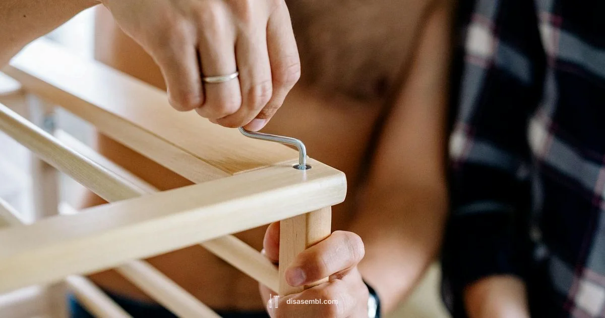 Assemble vs Dismantle Assemble vs Dismantle - Disasembl