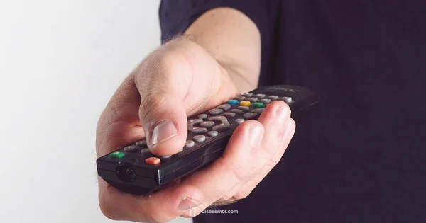 TV Disassembly Safety - Disasembl