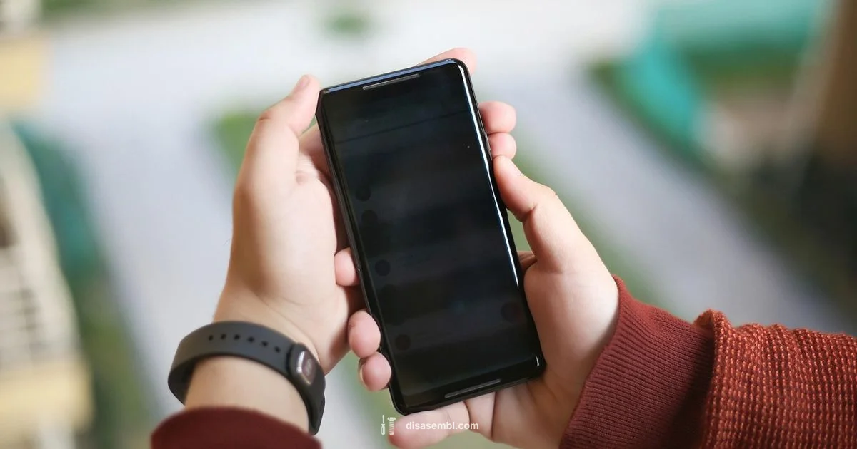 Phone Disassembly Guide Phone Disassembly Guide - Disasembl