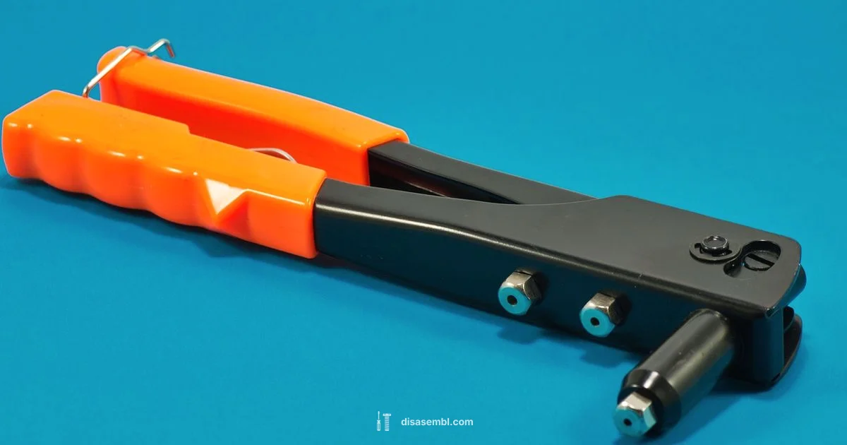 Best Disassembler Guide Best Disassembler Guide - Disasembl