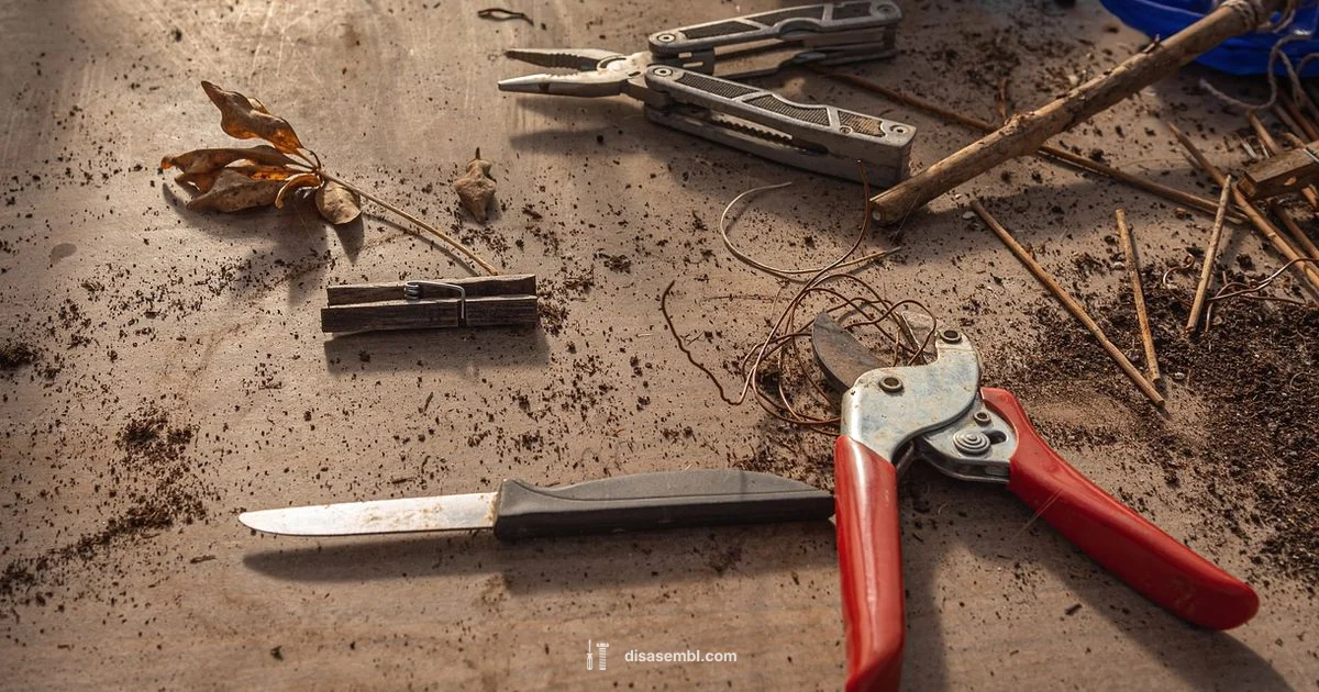 Check Assembly - Disasembl