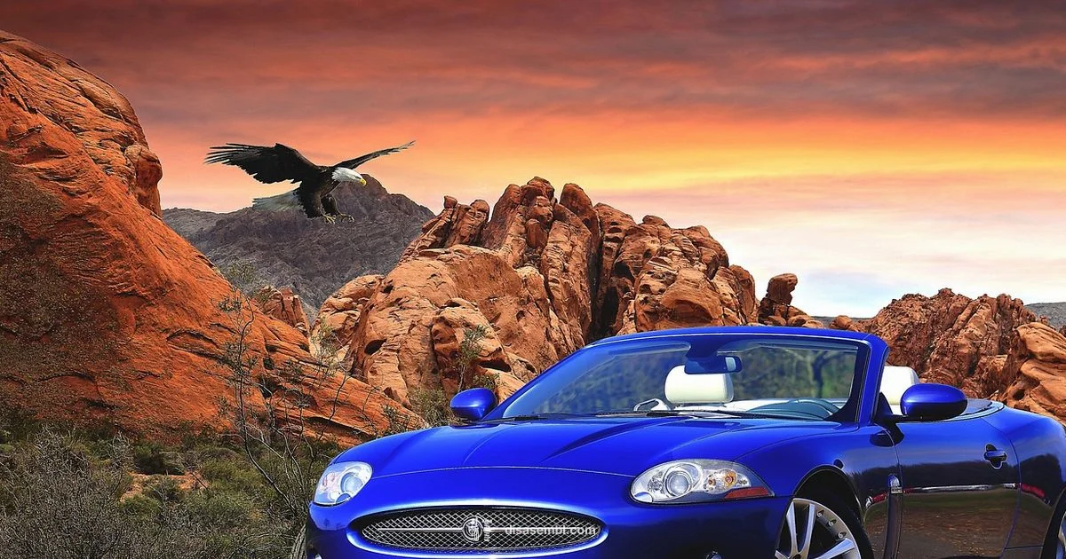 Bed Costs - Disasembl