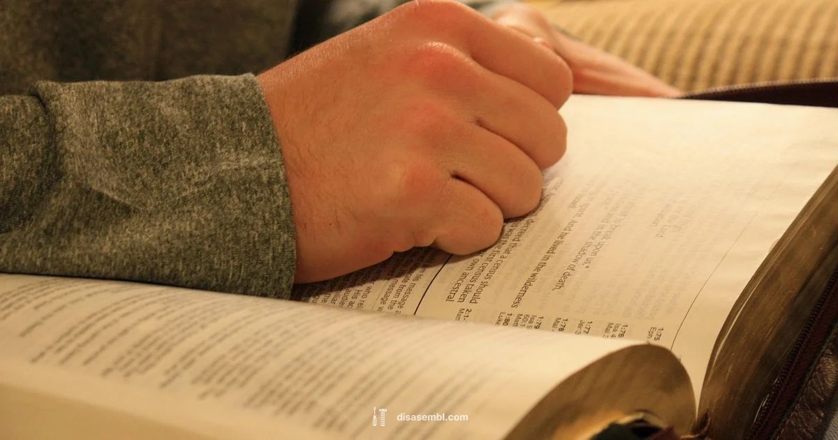 Assemble with Confidence - Disasembl