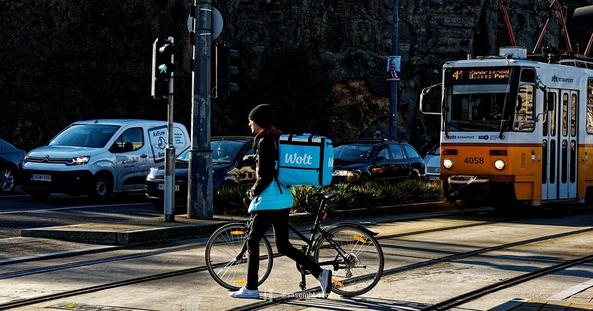 Delivery Guide - Disasembl