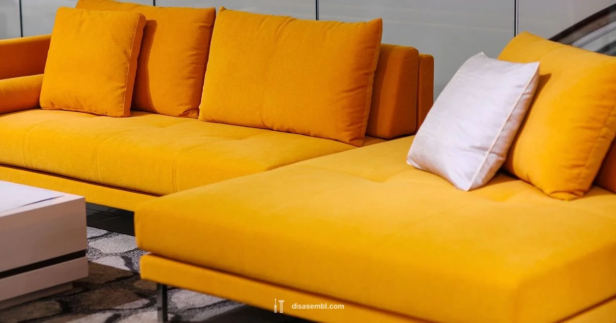 Is Assembly Worth It - Disasembl