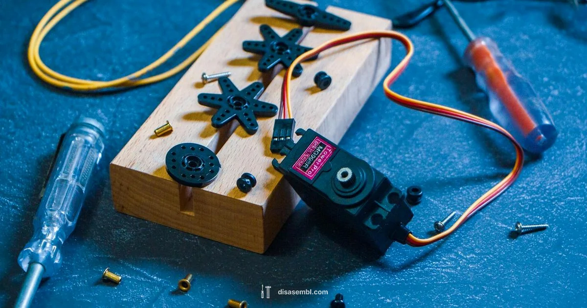 Tail Disassembly Guide - Disasembl