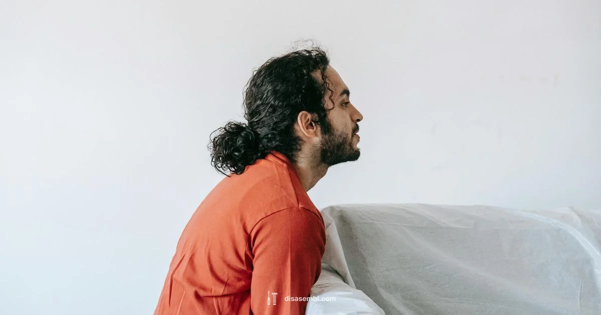 Is Assembly Required - Disasembl