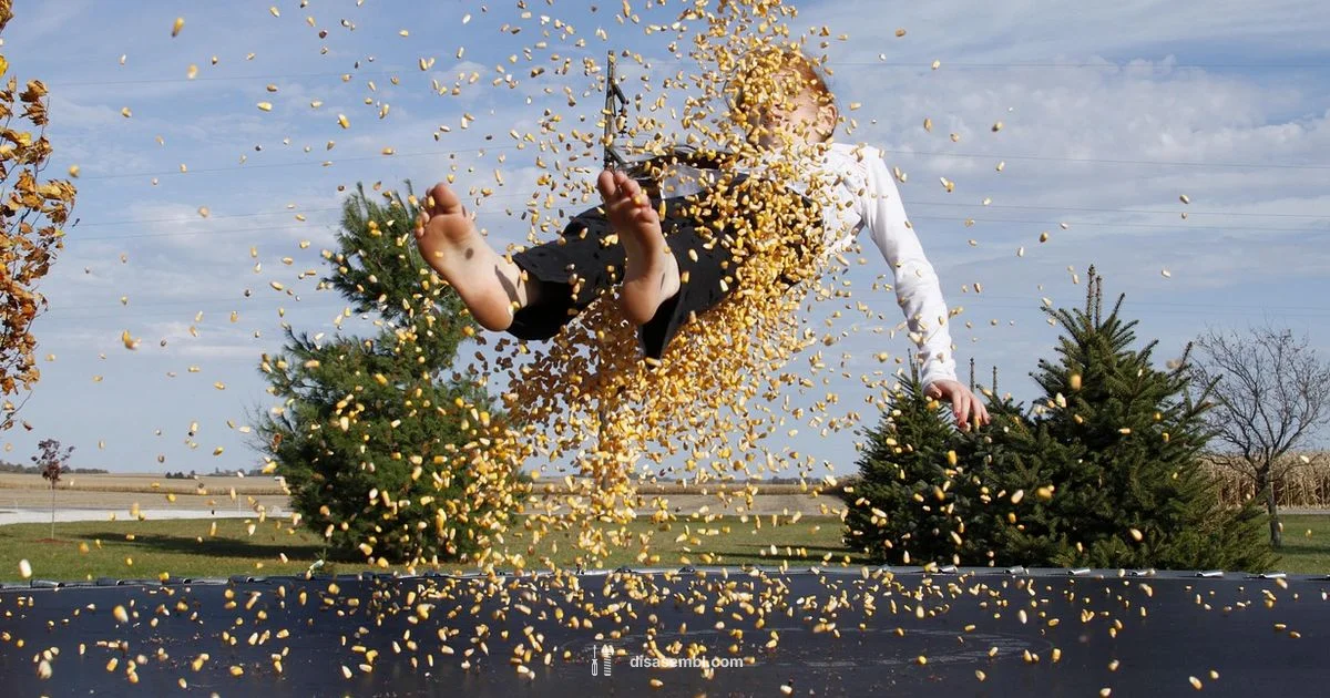 Trampoline Cost Guide - Disasembl