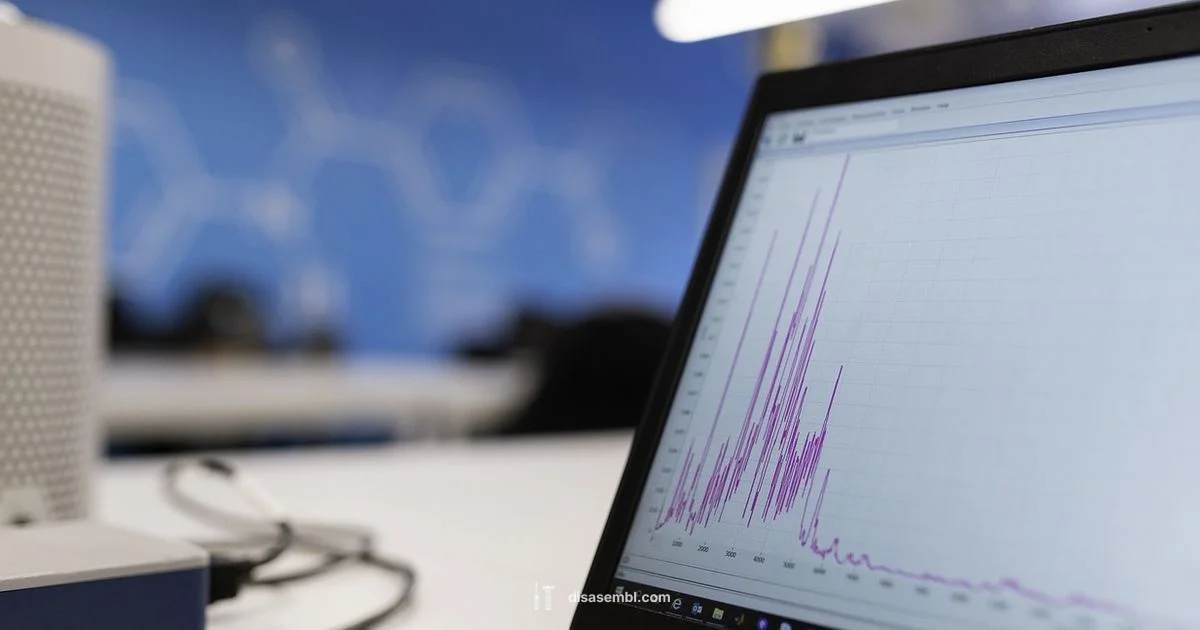Disassembly Code Basics - Disasembl