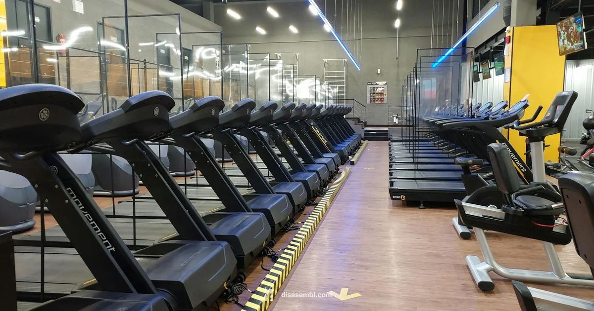 Move with Care Move with Care - Disasembl