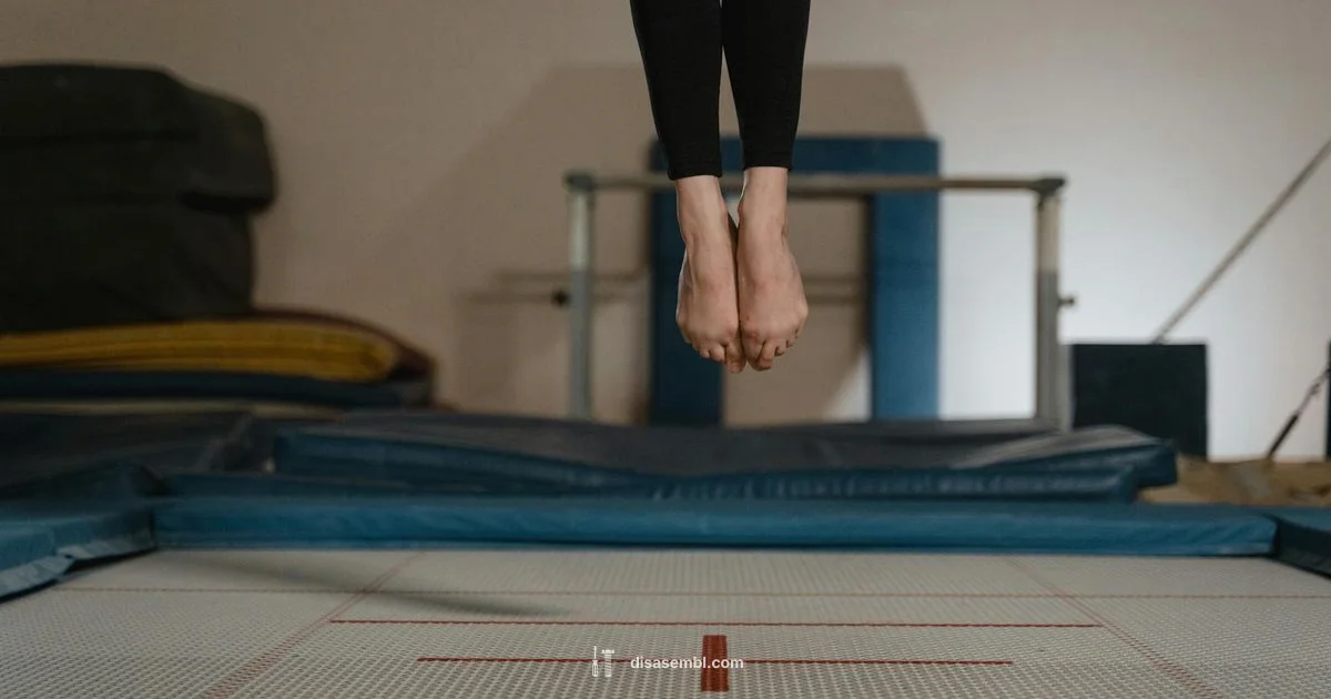 Trampoline Disassembly Guide Trampoline Disassembly Guide - Disasembl